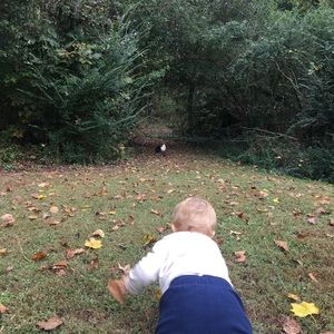 Meet your Posher, Melodie